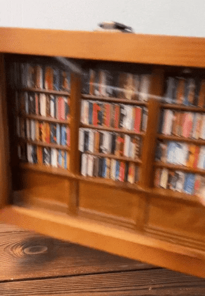 Anxiety Bookshelf Ornament — Shake Away Stress in Style